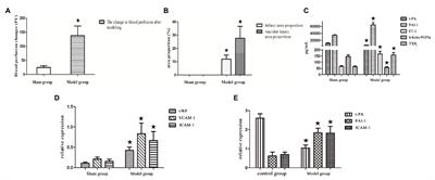 The Joint Effect of a Combination of Components From the Fruit of Crataegus pinnatifida Bge. Var. major N.E. Br. and the Root of Salvia miltiorrhiza Bge. With Exercises on Swimming in Focal Cerebral Infraction in Rat